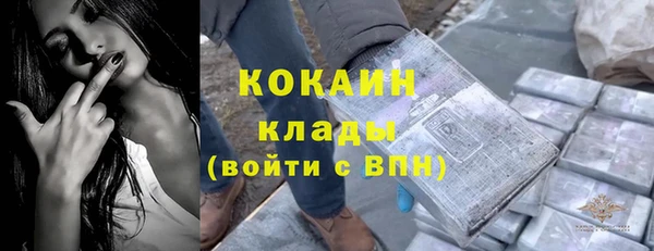 хмурый Михайлов