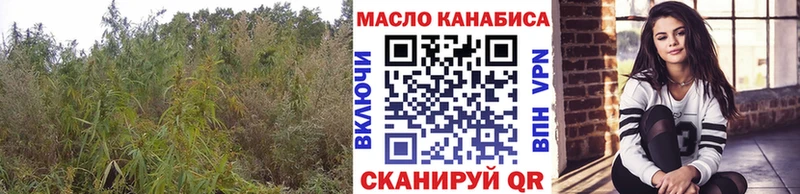 наркота  даркнет наркотические препараты  ТГК концентрат  Пучеж 